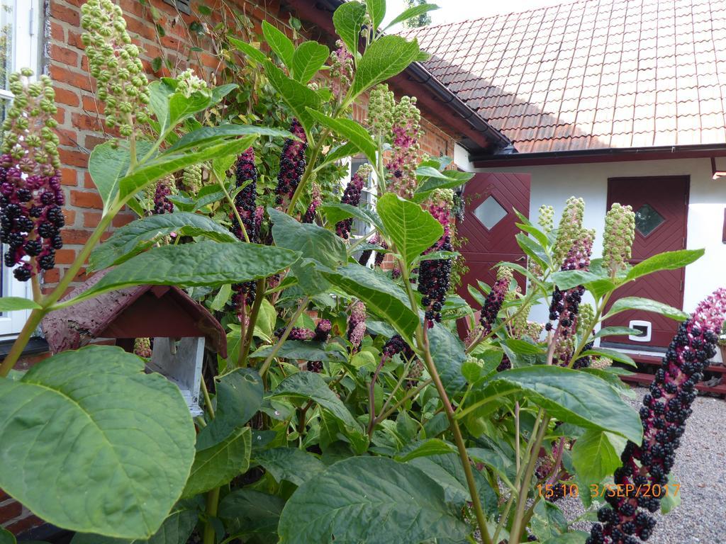 Akarpsvaegen Vacation Home Trelleborg Ngoại thất bức ảnh